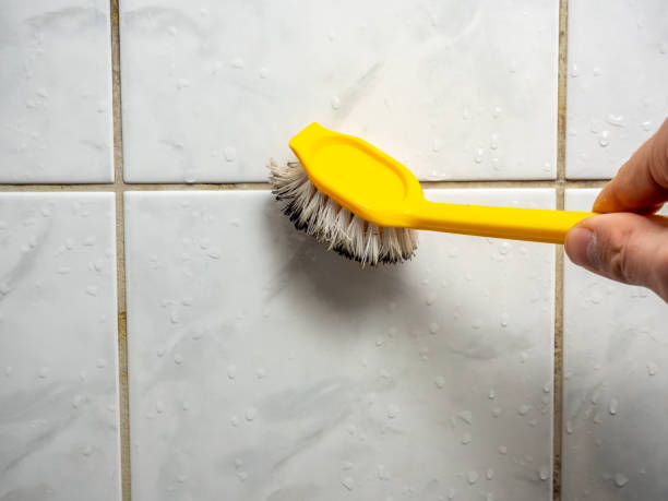 Mold Removal Process in Anza, CA